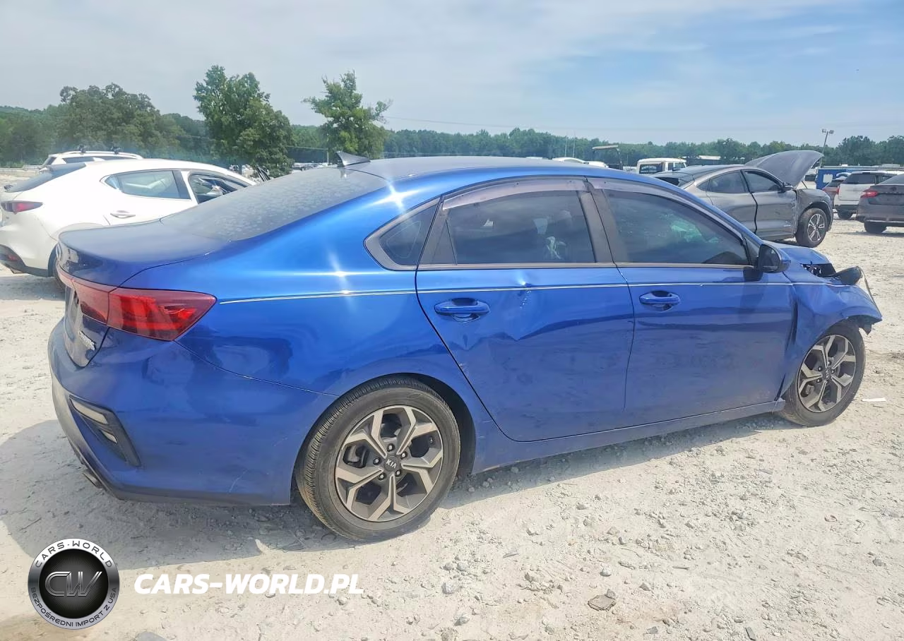 2019 Kia Forte Lxs VIN:3KPF24AD6KE042793 - 3