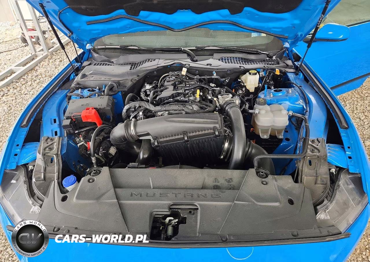 2025 Ford Mustang VIN:1FA6P8TH2S5108993 - 11