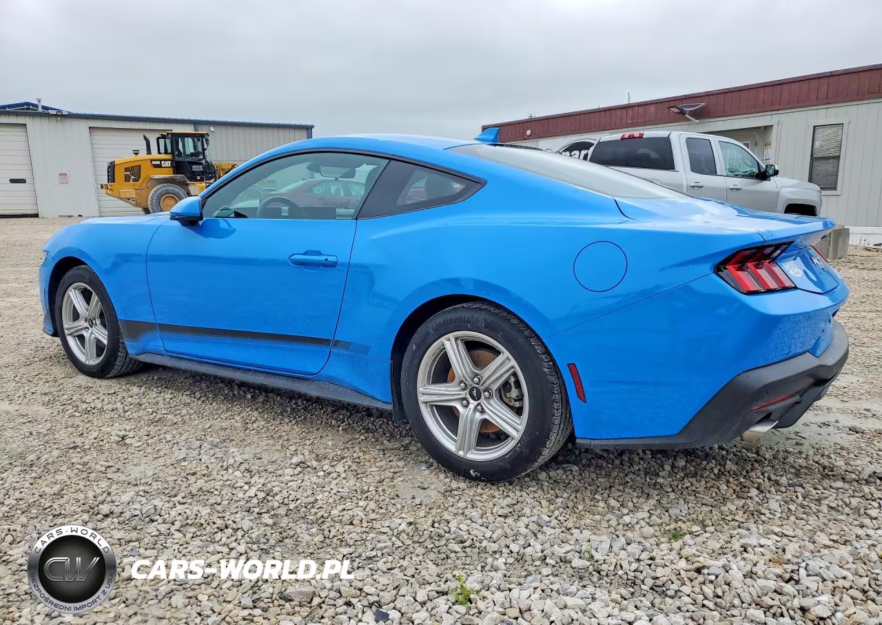 2025 Ford Mustang VIN:1FA6P8TH2S5108993 - 2