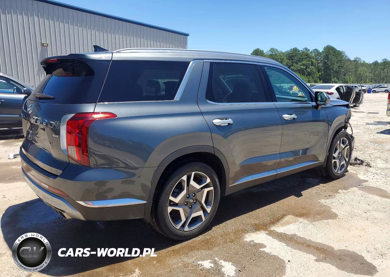 2023 Hyundai Palisade Limited VIN:KM8R5DGE8PU532905 - 3