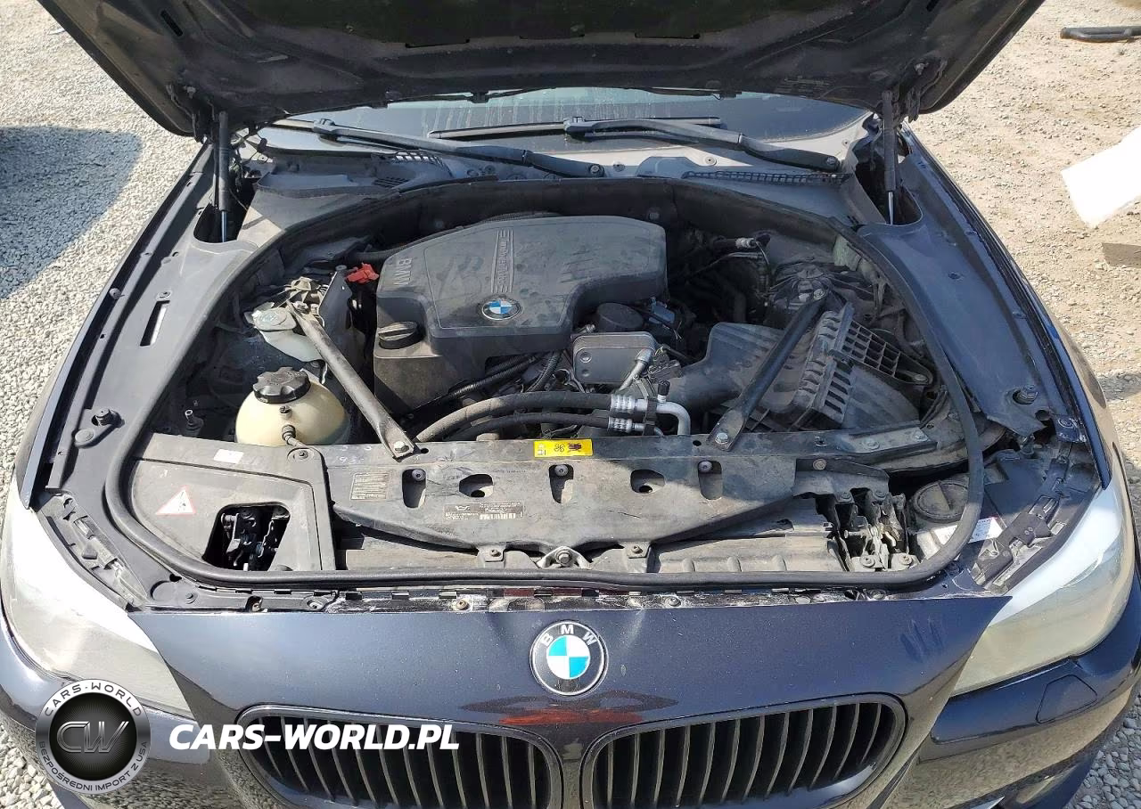 2013 BMW 528 I VIN:WBAXG5C52DD229550 - 11