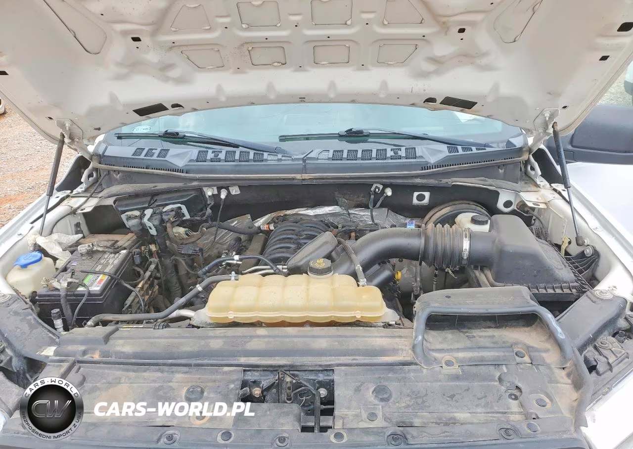 2019 Ford F150 VIN:1FTMF1C59KKD60422 - 11