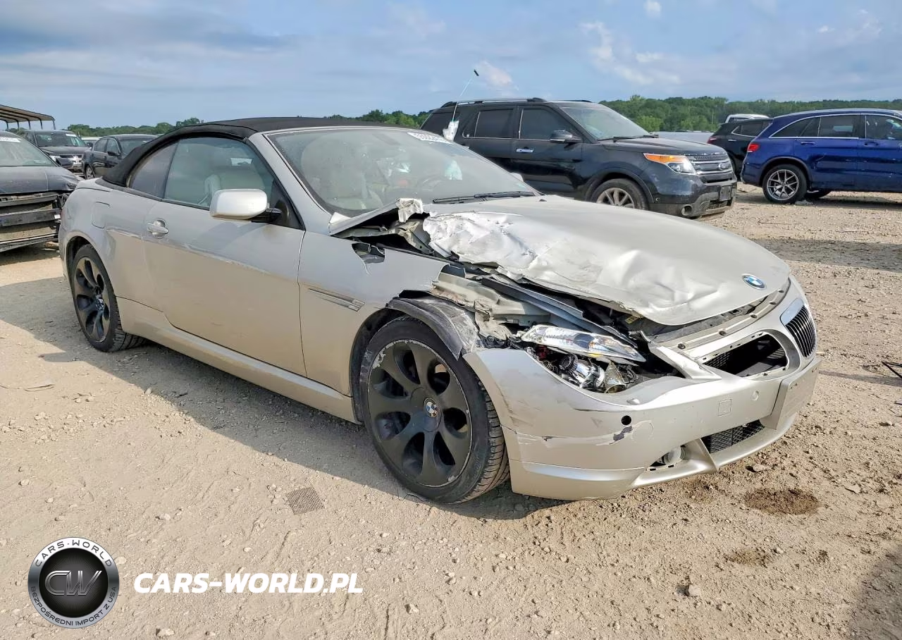 2007 BMW 650 I VIN:WBAEK13597CN84353 - 4