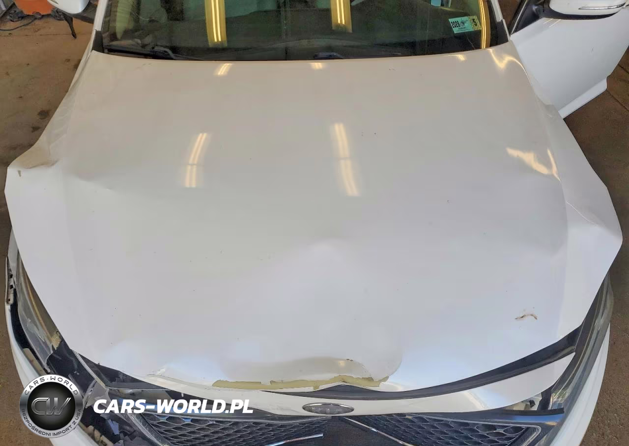 2015 Kia Optima Lx VIN:KNAGM4A74F5530793 - 11