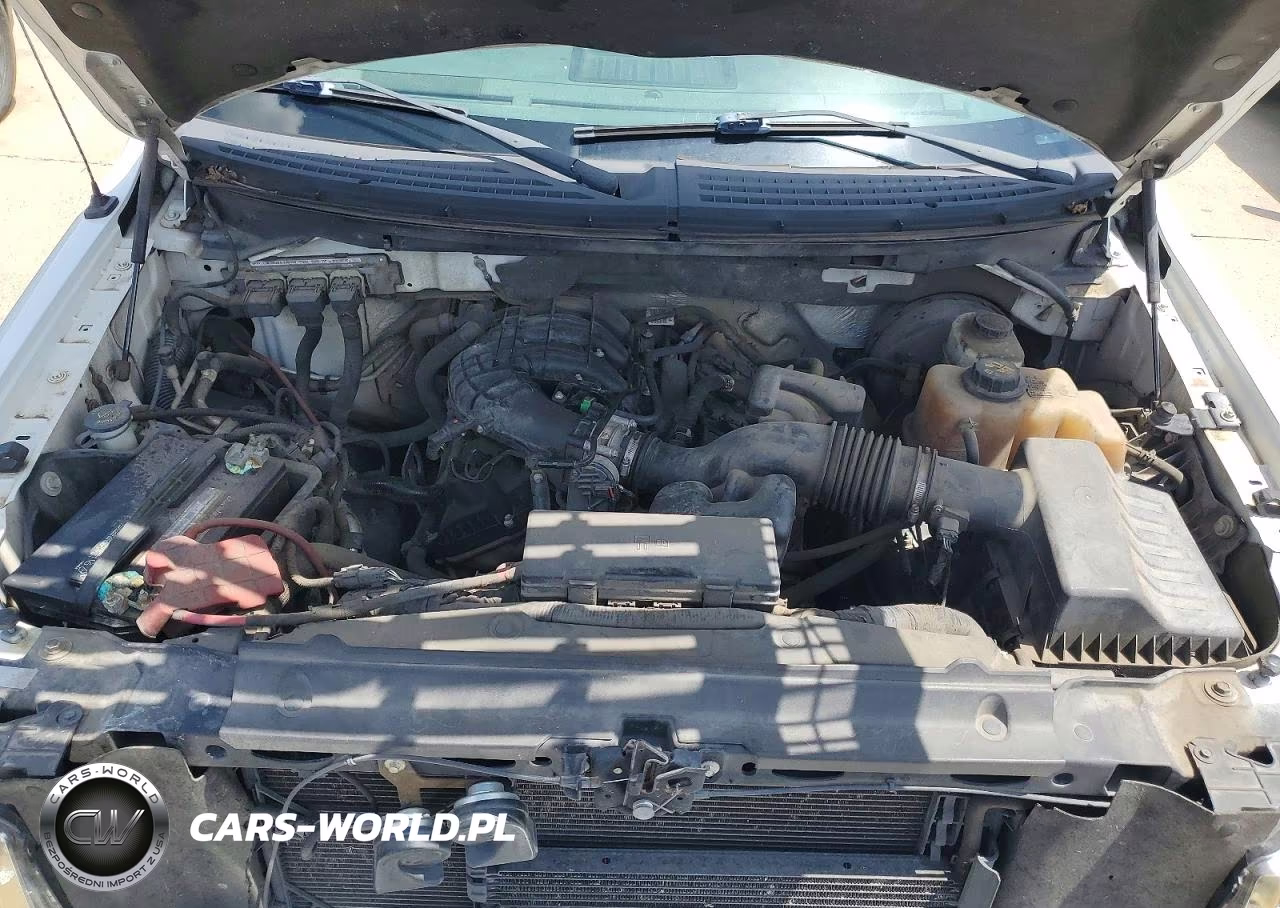 2011 Ford F150 Supercrew VIN:1FTEW1CM2BFC89939 - 11
