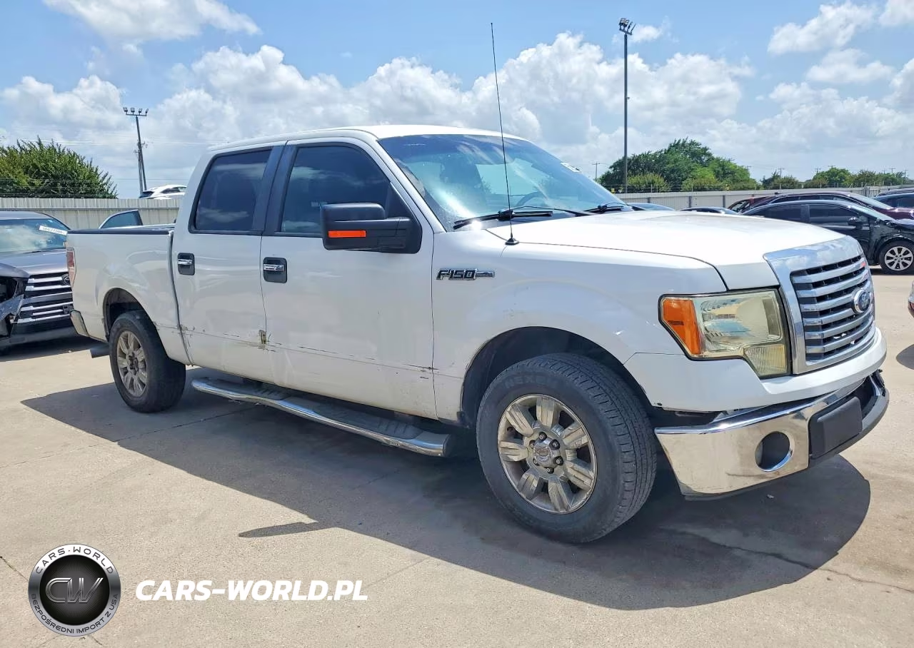 2011 Ford F150 Supercrew VIN:1FTEW1CM2BFC89939 - 4