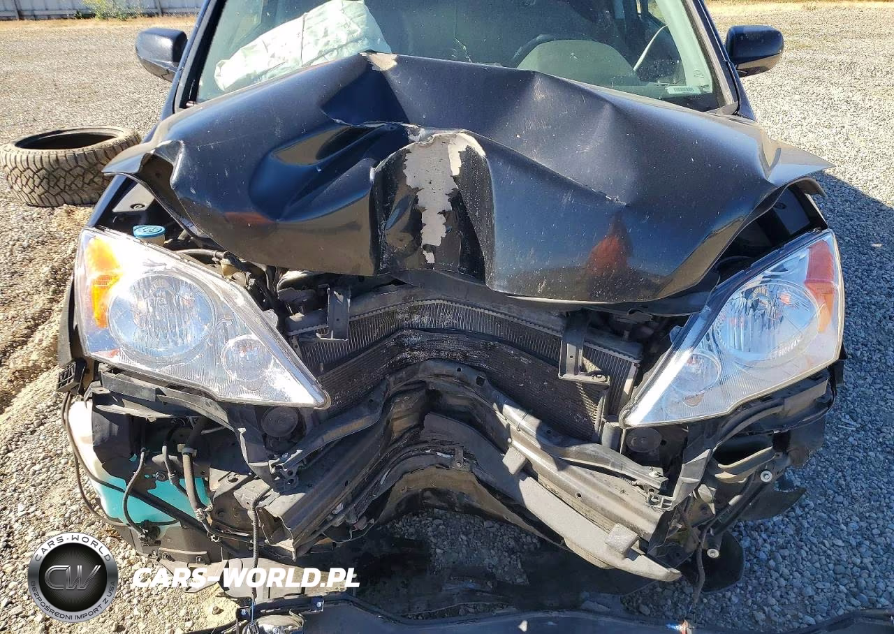 2010 Honda Cr-V Exl VIN:5J6RE3H72AL012494 - 11