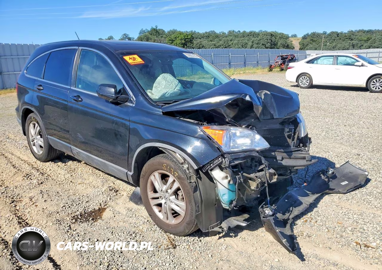 2010 Honda Cr-V Exl VIN:5J6RE3H72AL012494 - 4