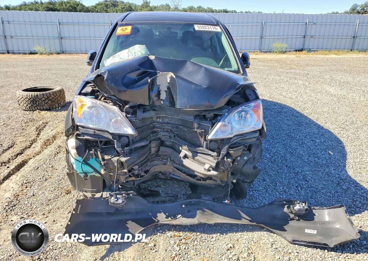 2010 Honda Cr-V Exl VIN:5J6RE3H72AL012494 - 5
