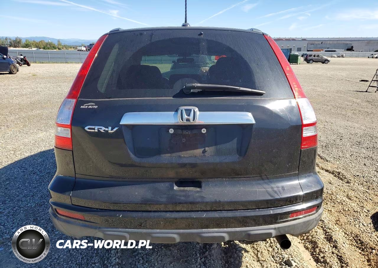2010 Honda Cr-V Exl VIN:5J6RE3H72AL012494 - 6