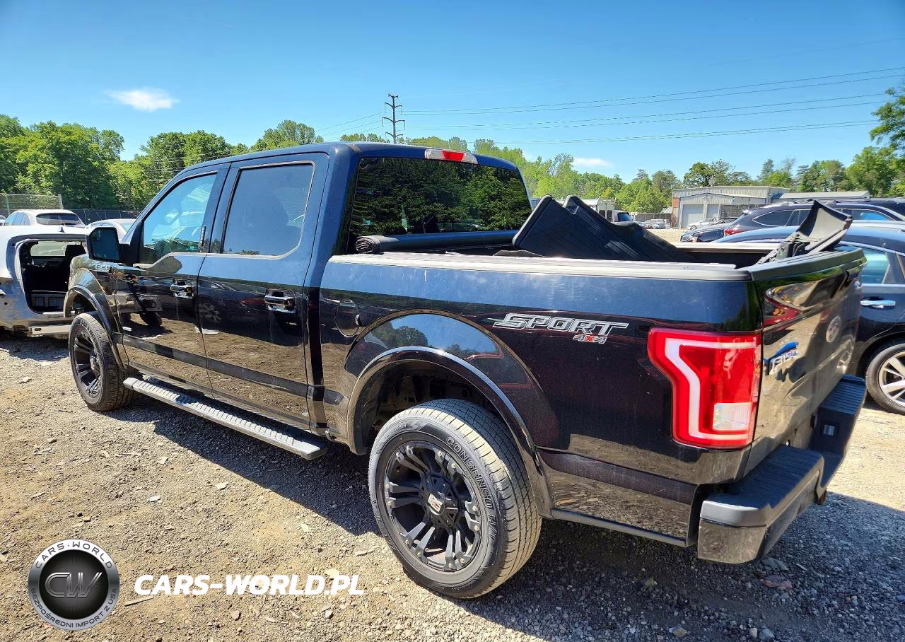 2016 Ford F150 Supercrew VIN:1FTEW1EP7GFA39675 - 2