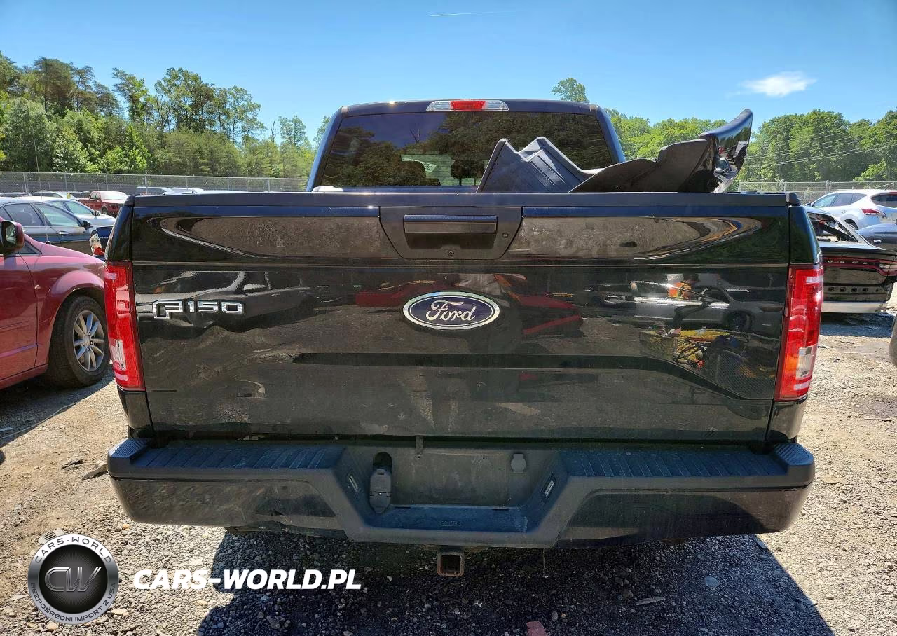 2016 Ford F150 Supercrew VIN:1FTEW1EP7GFA39675 - 6