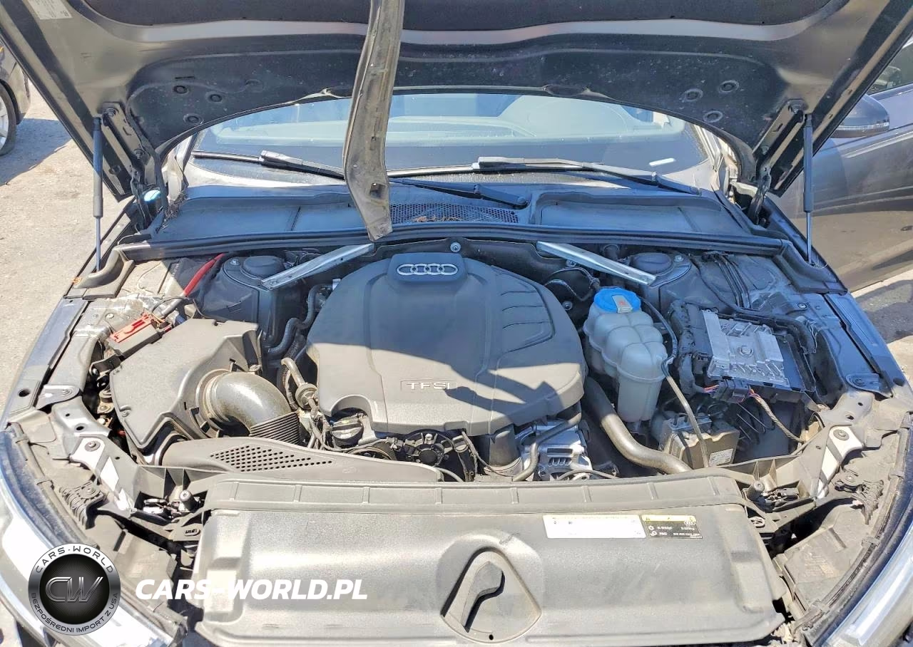 2019 Audi A4 Premium Plus VIN:WAUENAF4XKA015459 - 11