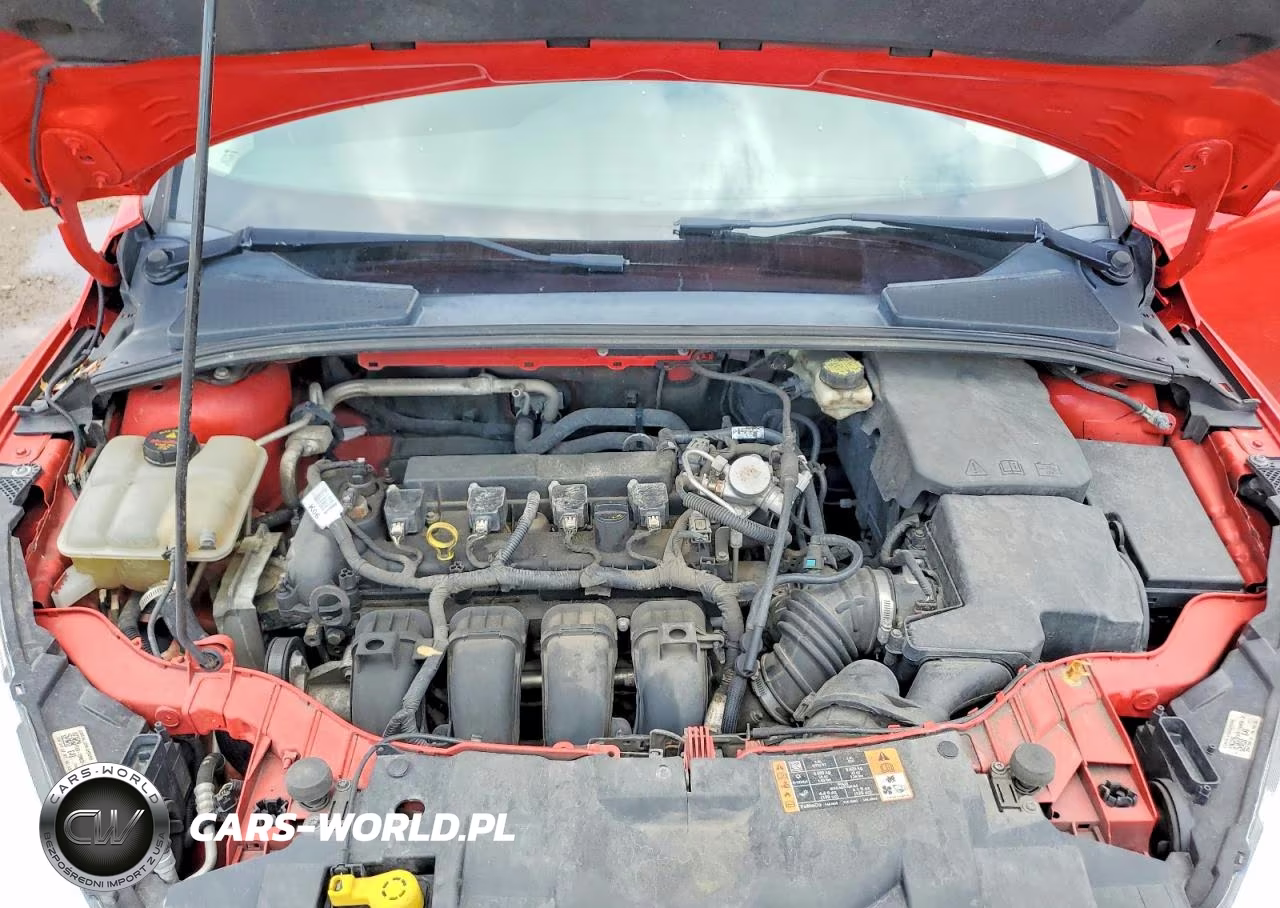 2017 Ford Focus Se VIN:1FADP3K23HL282230 - 11