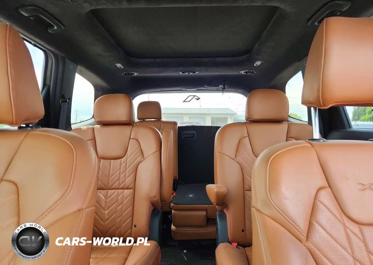 2025 Kia Telluride Sx-Prestige X-Line VIN:5XYP5DGC1SG705619 - 10