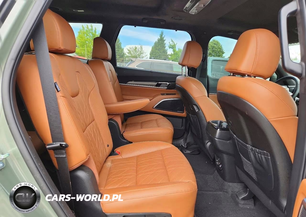 2025 Kia Telluride Sx-Prestige X-Line VIN:5XYP5DGC1SG705619 - 11