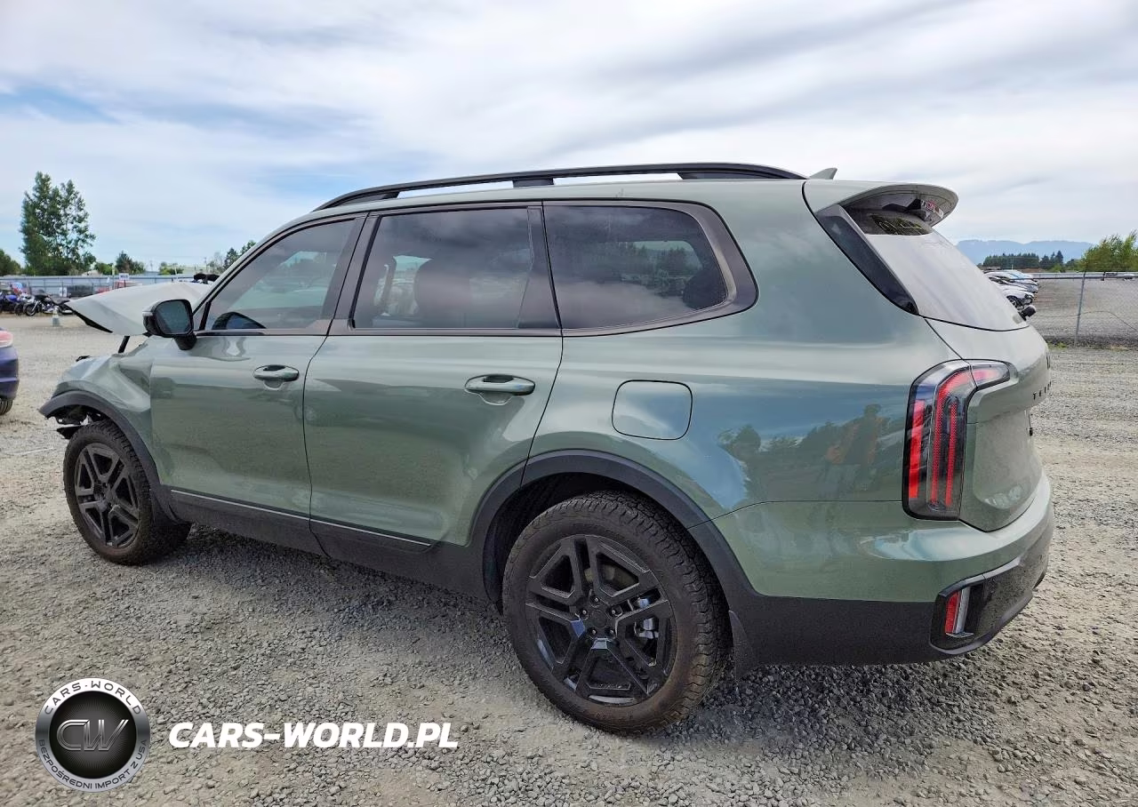 2025 Kia Telluride Sx-Prestige X-Line VIN:5XYP5DGC1SG705619 - 2