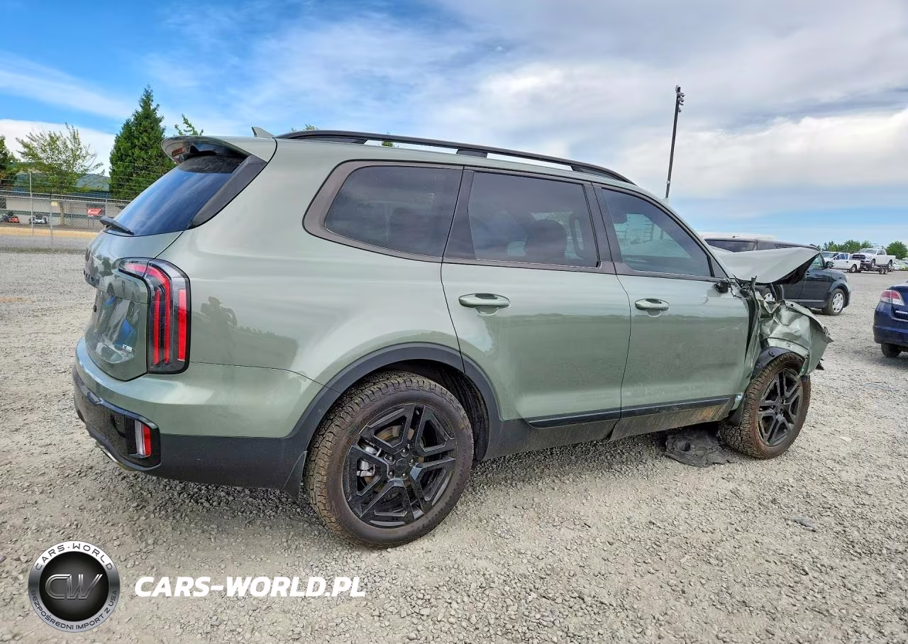 2025 Kia Telluride Sx-Prestige X-Line VIN:5XYP5DGC1SG705619 - 3