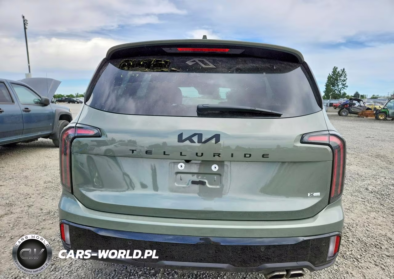 2025 Kia Telluride Sx-Prestige X-Line VIN:5XYP5DGC1SG705619 - 6