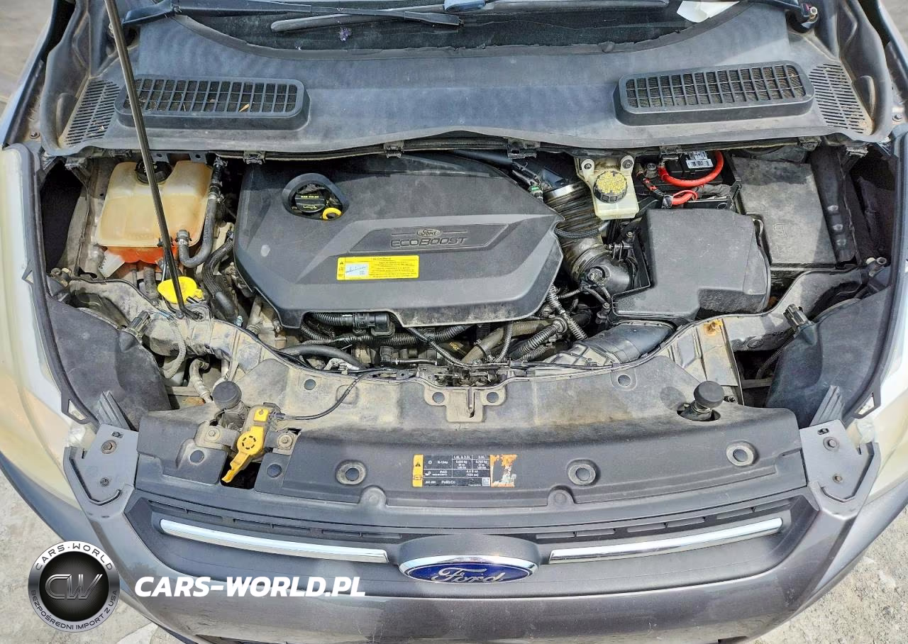2014 Ford Escape Se VIN:1FMCU0GX2EUB09768 - 12