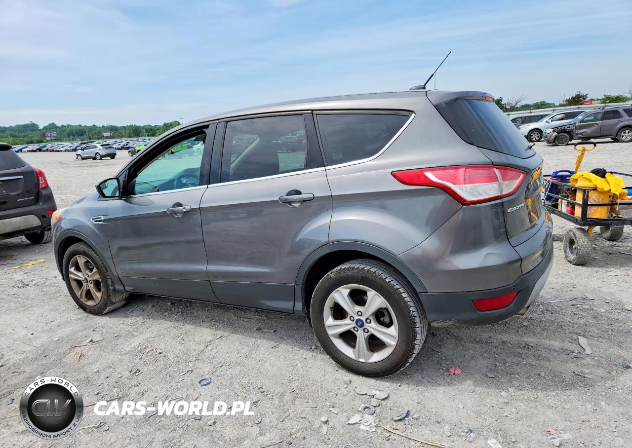 2014 Ford Escape Se VIN:1FMCU0GX2EUB09768 - 2