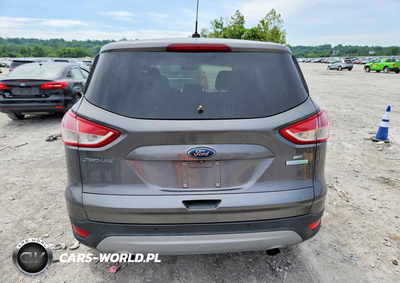 2014 Ford Escape Se VIN:1FMCU0GX2EUB09768 - 6