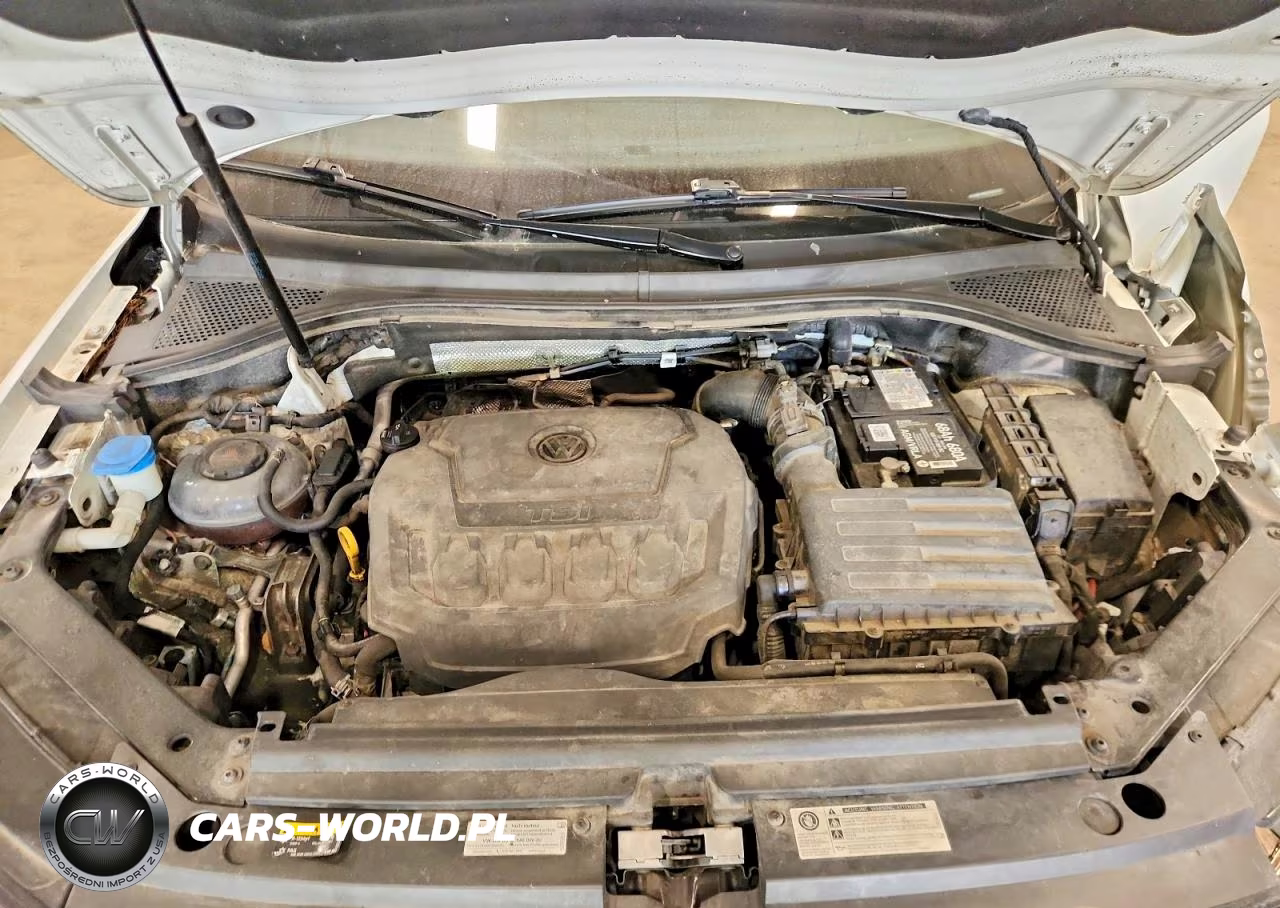 2019 Volkswagen Tiguan Se VIN:3VV3B7AX5KM066900 - 12