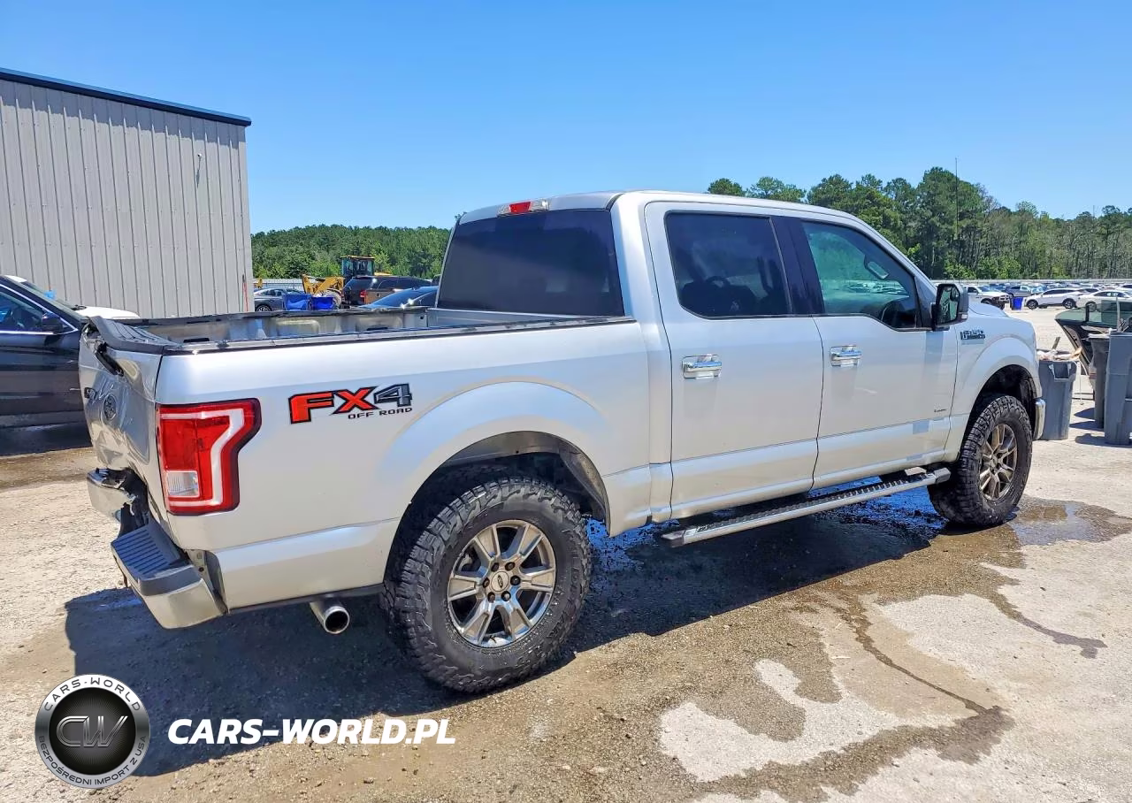 2016 Ford F150 Supercrew VIN:1FTEW1EPXGFD31739 - 3