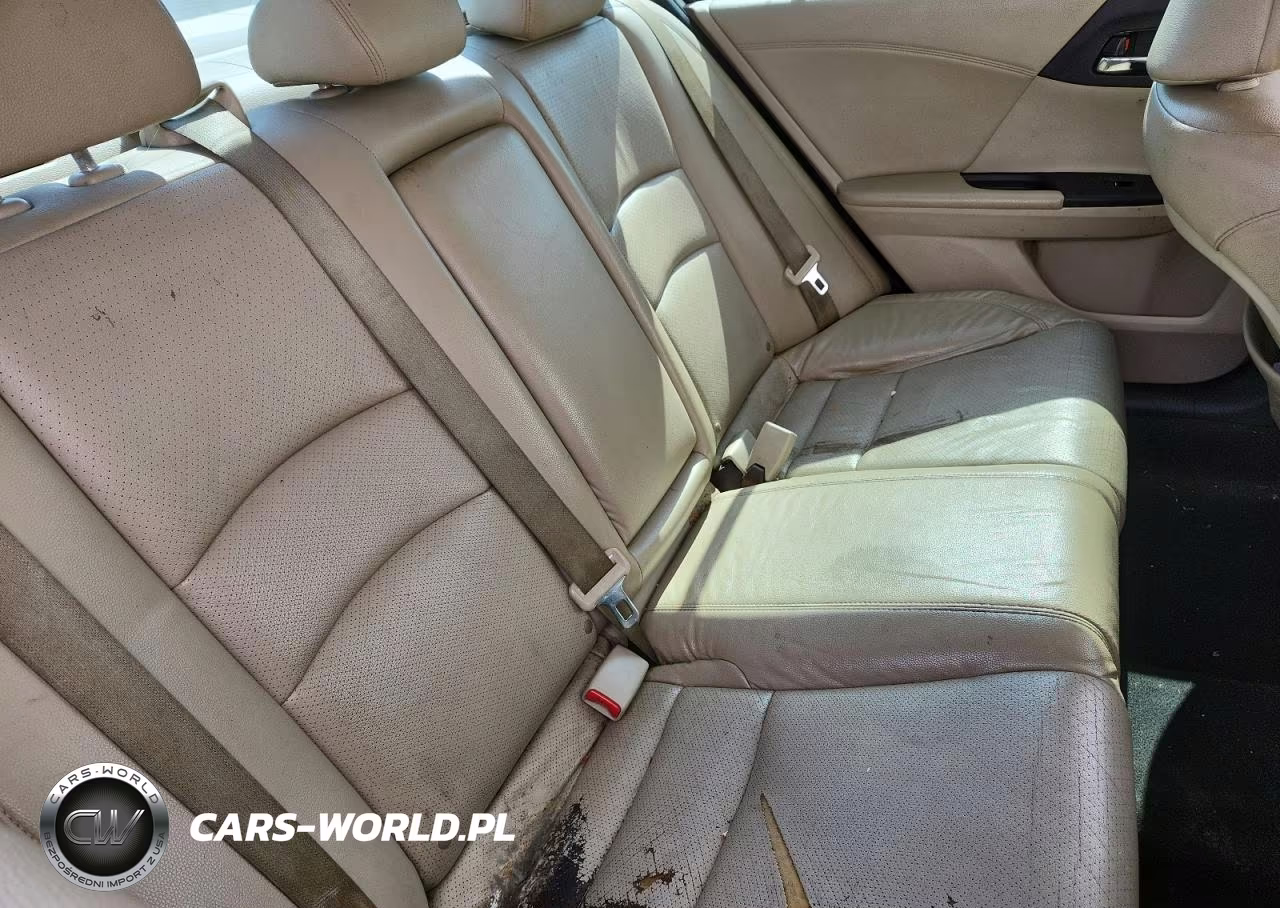 2013 Honda Accord Exl VIN:1HGCR2F81DA207879 - 10