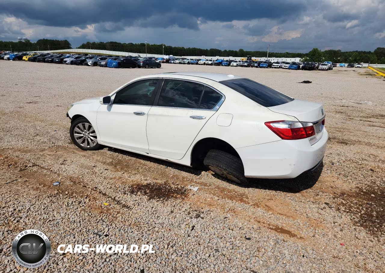 2013 Honda Accord Exl VIN:1HGCR2F81DA207879 - 2