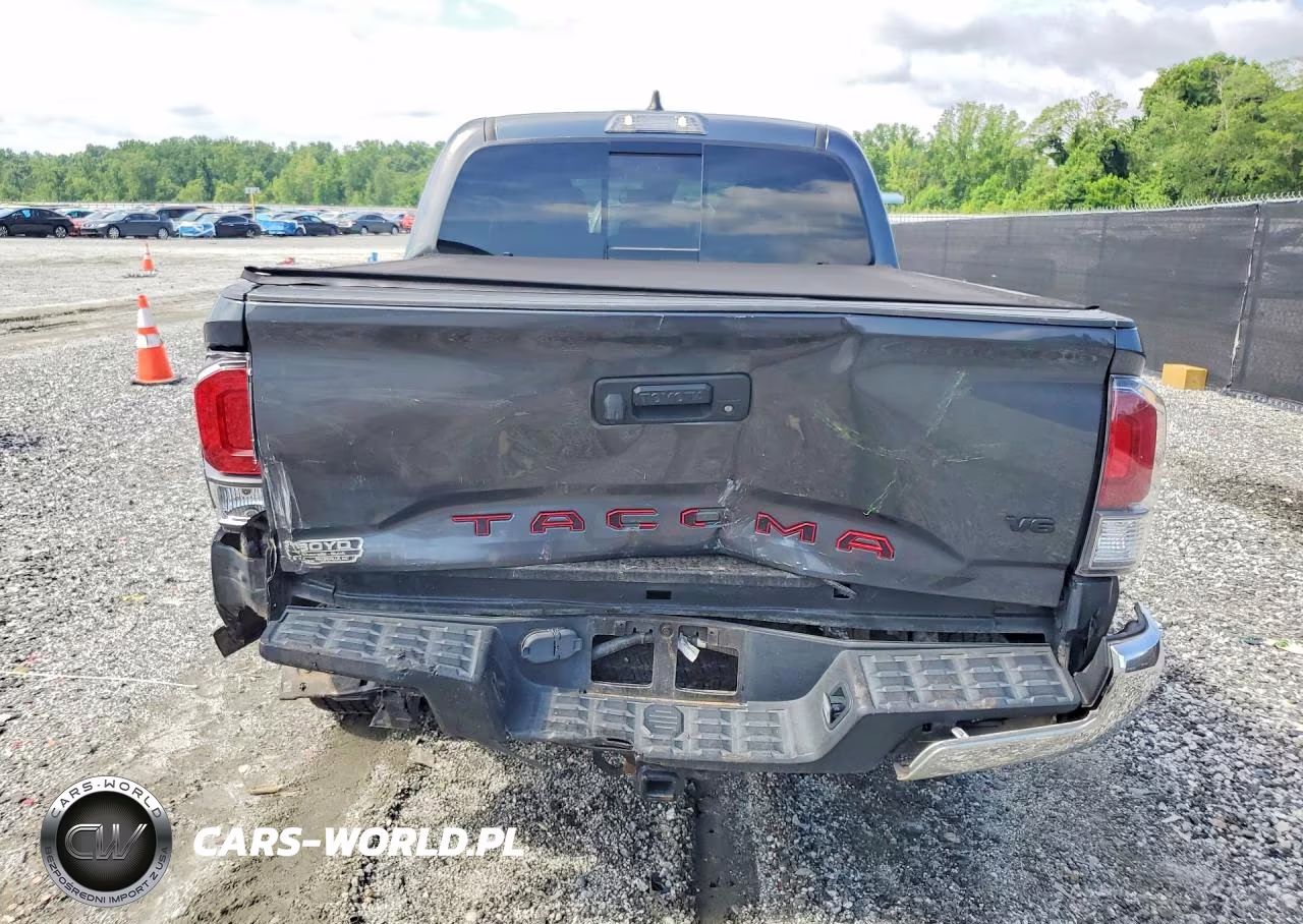 2023 Toyota Tacoma Trd Off-Road VIN:3TMCZ5ANXPM536892 - 6