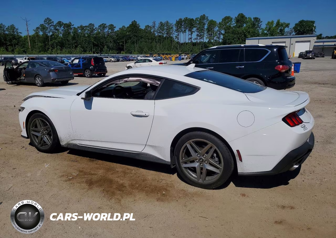 2024 Ford Mustang VIN:1FA6P8TH0R5146524 - 2