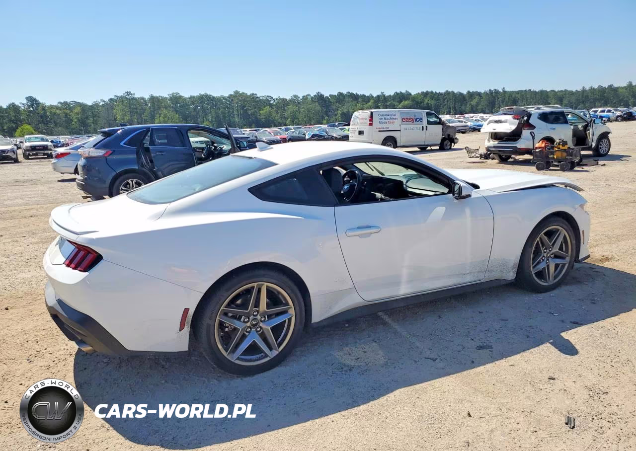 2024 Ford Mustang VIN:1FA6P8TH0R5146524 - 3