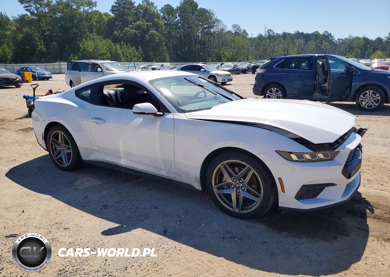 2024 Ford Mustang VIN:1FA6P8TH0R5146524 - 4