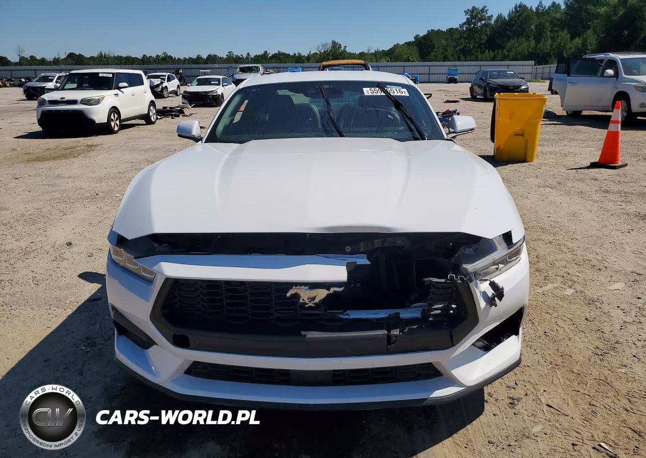 2024 Ford Mustang VIN:1FA6P8TH0R5146524 - 5