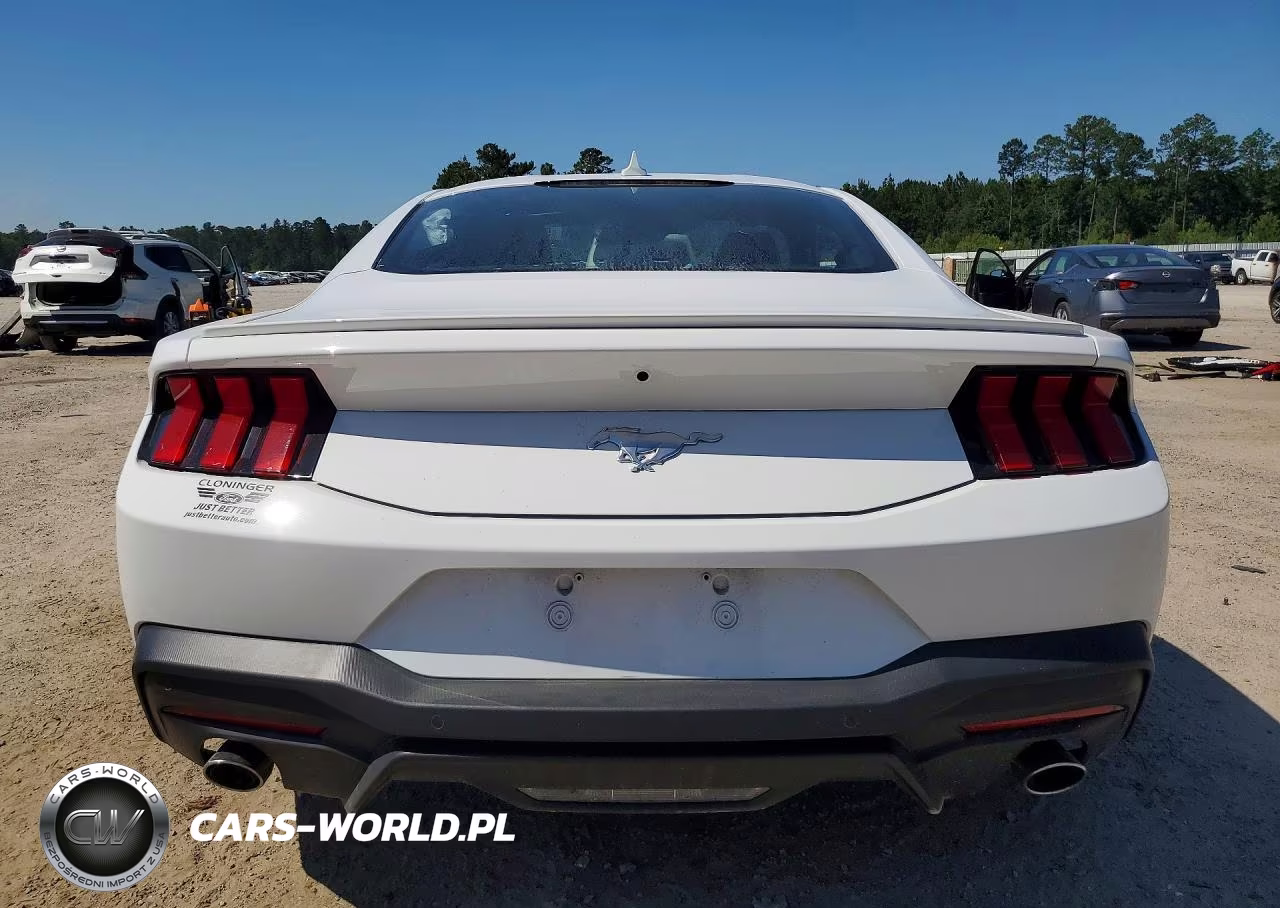 2024 Ford Mustang VIN:1FA6P8TH0R5146524 - 6