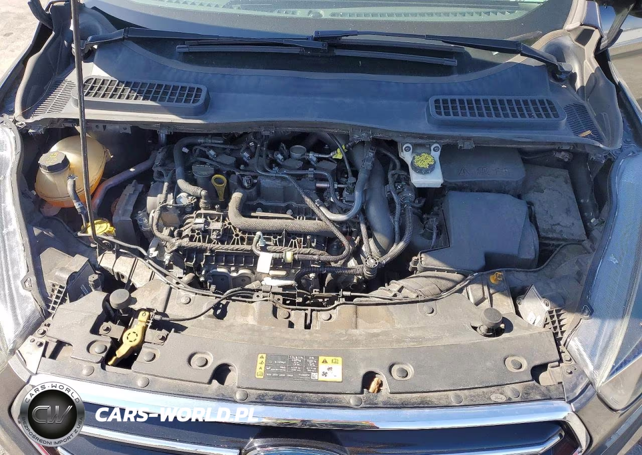 2019 Ford Escape Se VIN:1FMCU0GD2KUB14146 - 12