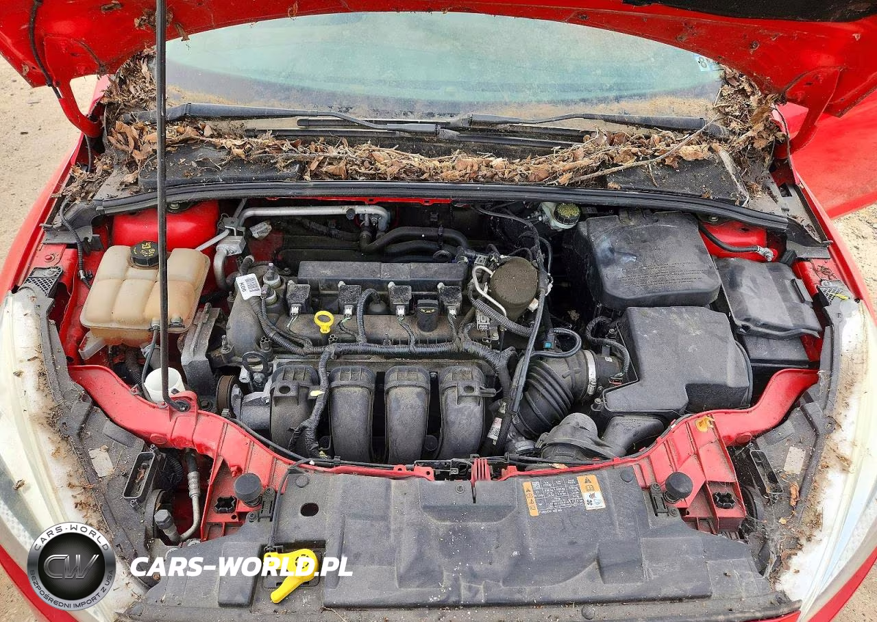 2015 Ford Focus Se VIN:1FADP3F21FL262582 - 11