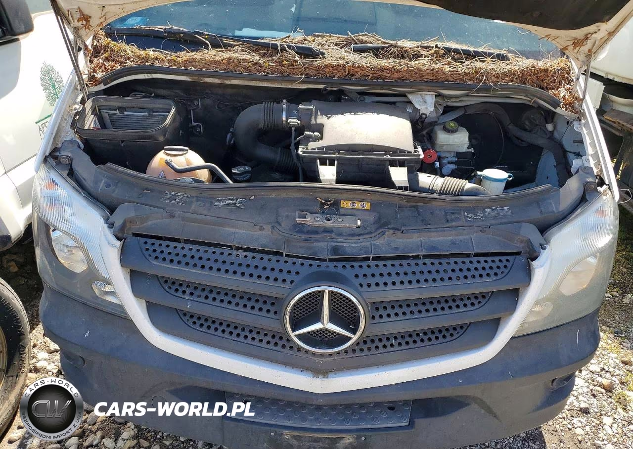 2018 Mercedes-Benz Sprinter 2500 VIN:WD3PE8CD5JP611111 - 12