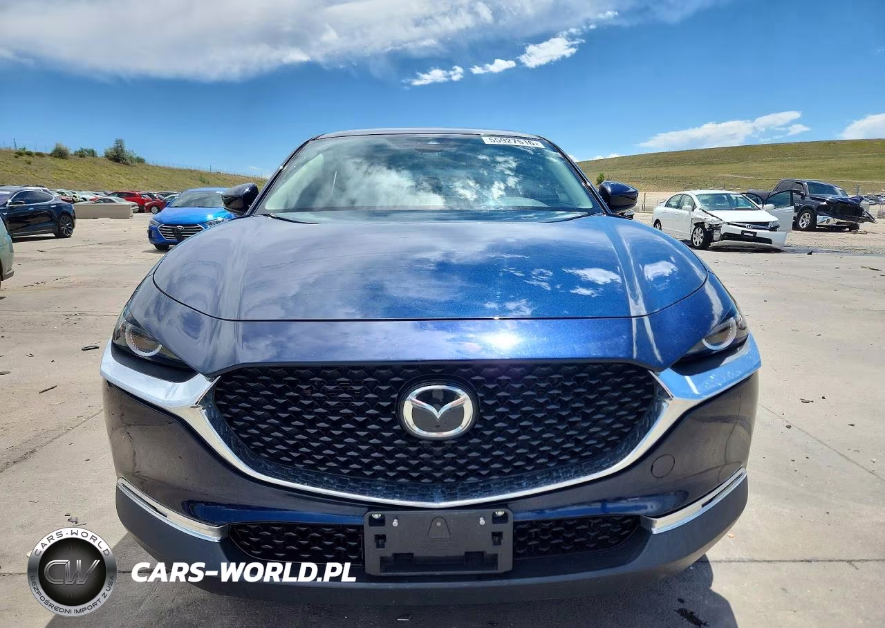 2021 Mazda Cx-30 VIN:3MVDMAAL2MM269445 - 5