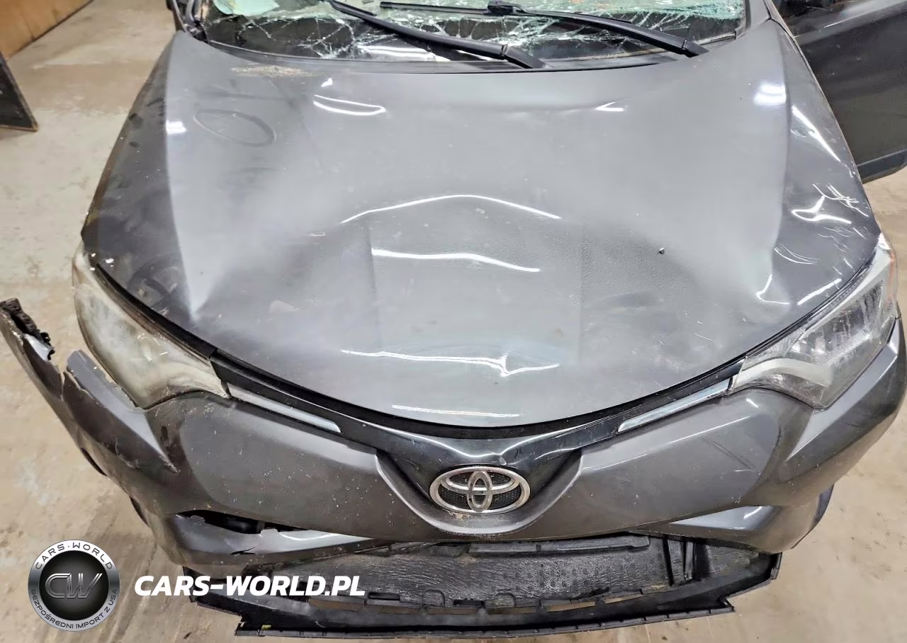 2016 Toyota Rav4 Le VIN:JTMZFREV7GJ094641 - 12