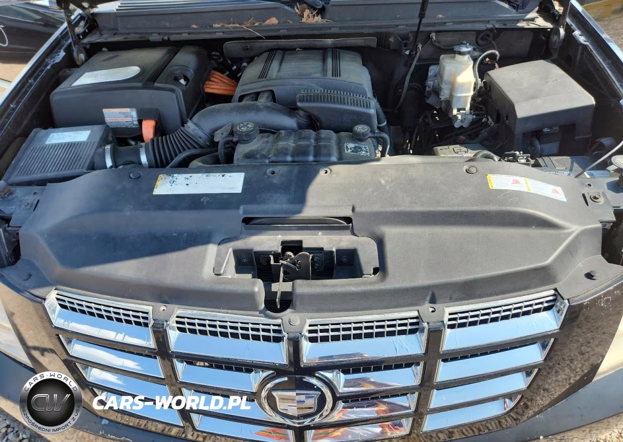 2009 Cadillac Escalade Hybrid VIN:1GYFC43589R105579 - 12