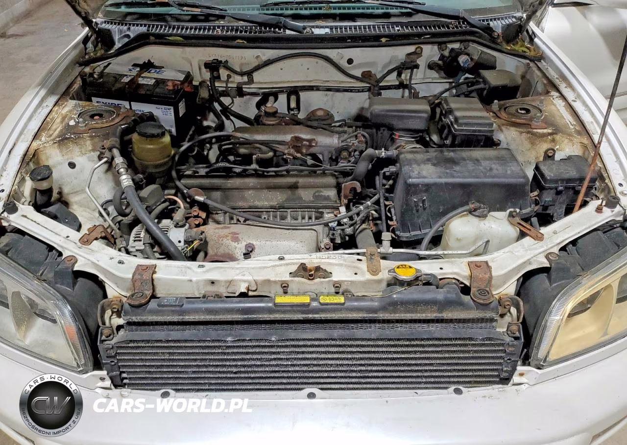 1999 Toyota Rav4 Base VIN:JT3GP10V1X7057194 - 12