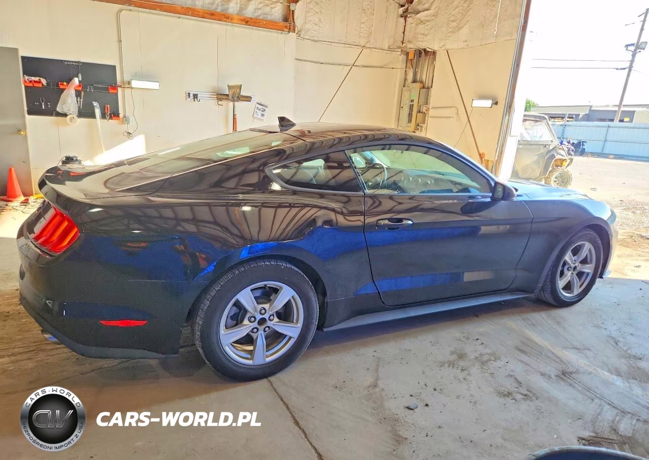 2021 Ford Mustang VIN:1FA6P8TH6M5138727 - 3