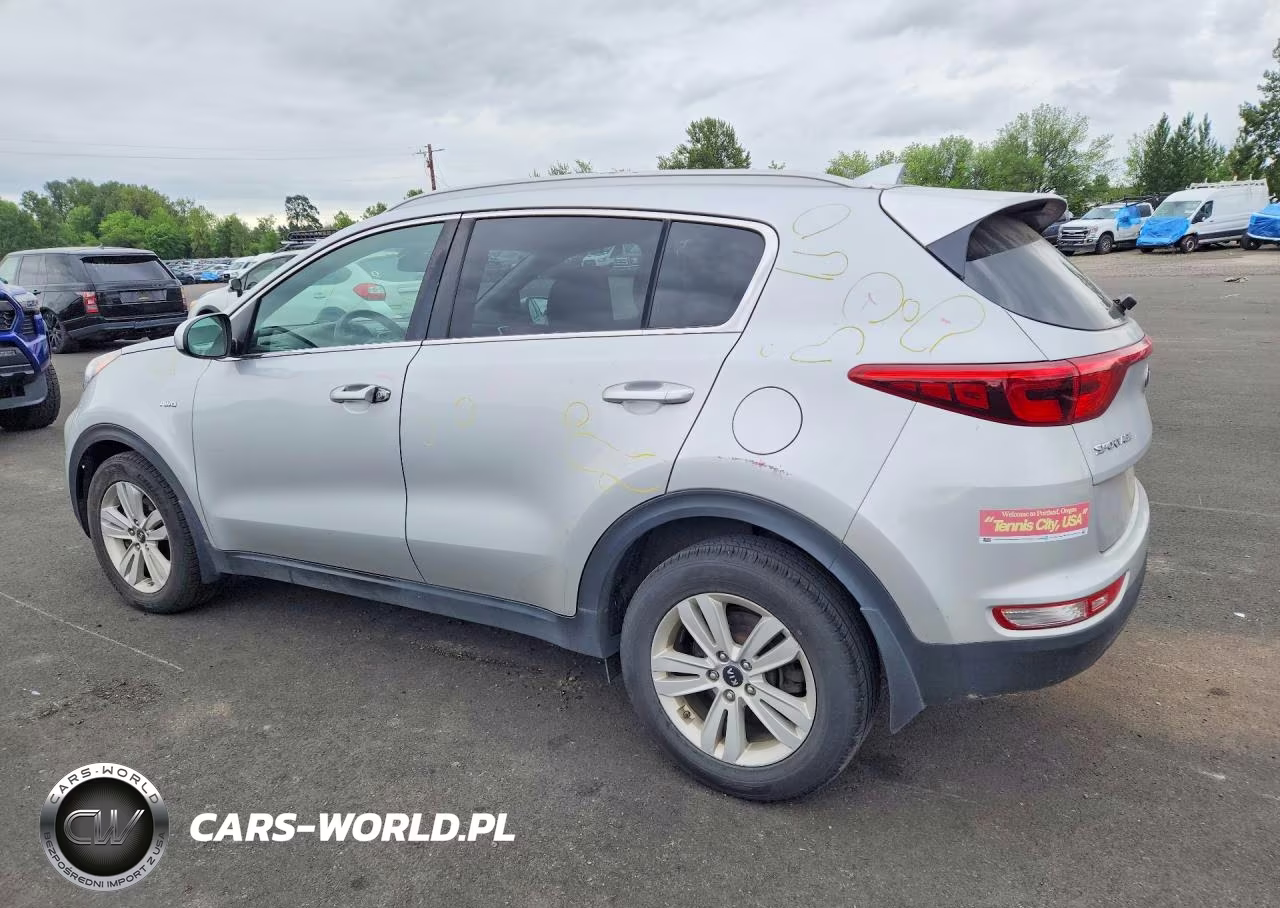 2019 Kia Sportage Lx VIN:KNDPMCAC4K7491504 - 2