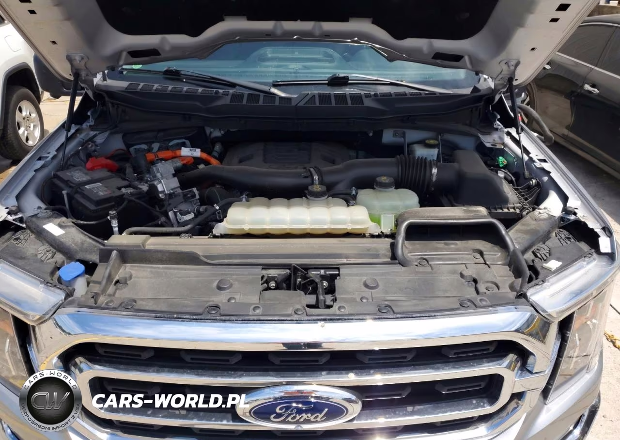 2022 Ford F150 VIN:1FTFW1ED7NFA69699 - 11