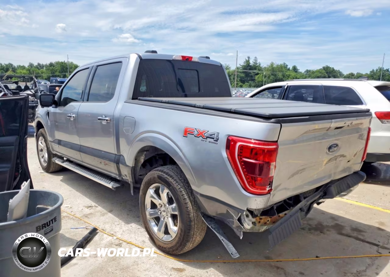 2022 Ford F150 VIN:1FTFW1ED7NFA69699 - 2