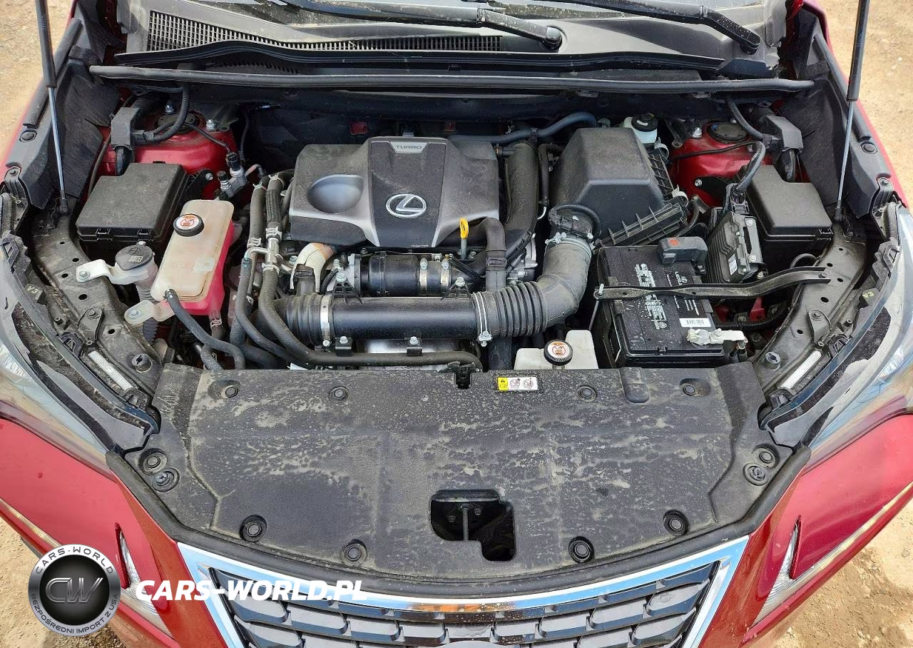 2021 Lexus Nx 300 Base VIN:JTJDARDZ3M5023810 - 11
