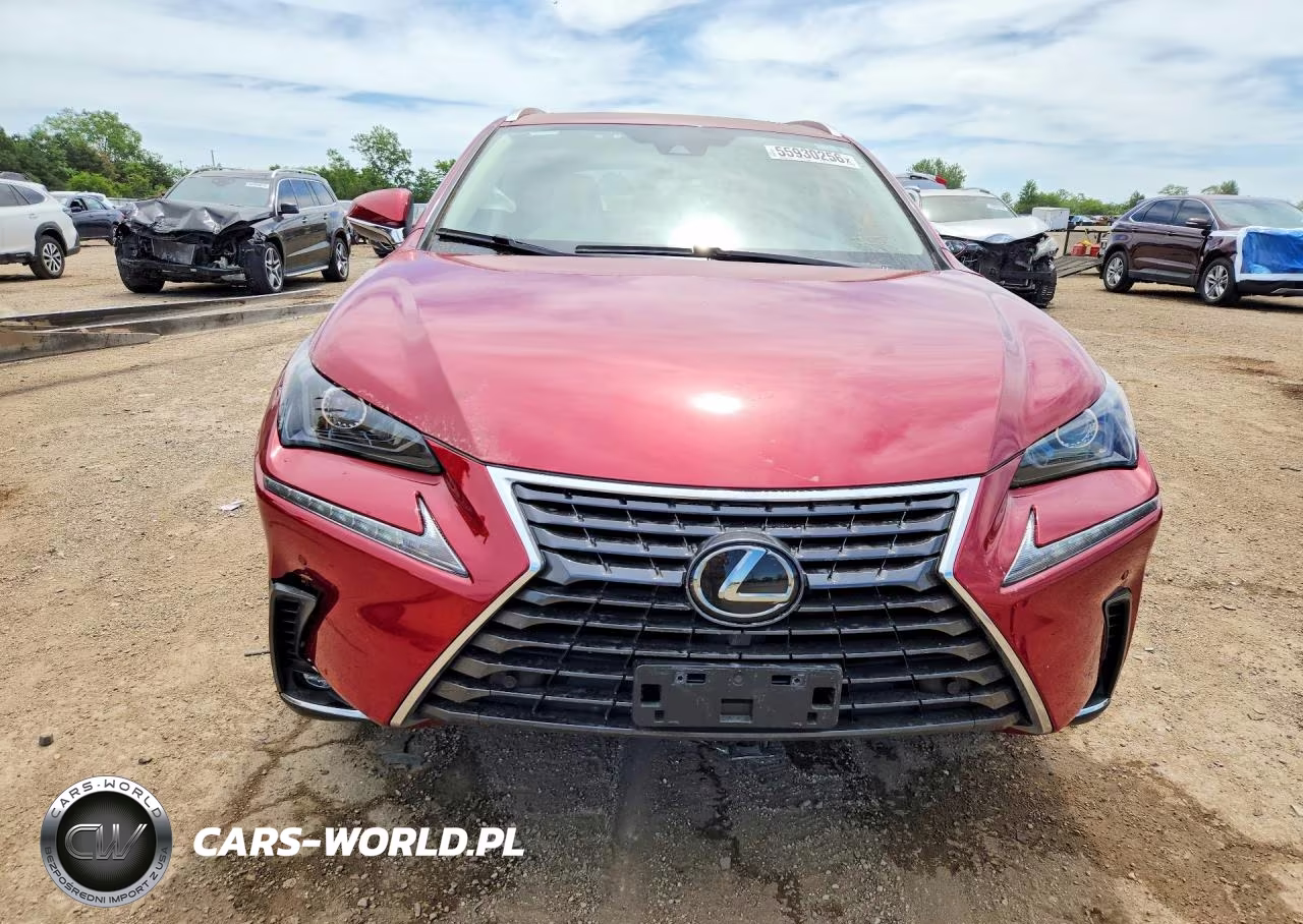 2021 Lexus Nx 300 Base VIN:JTJDARDZ3M5023810 - 5