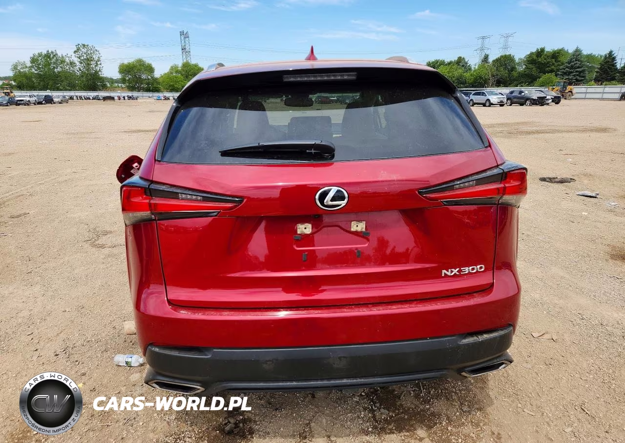 2021 Lexus Nx 300 Base VIN:JTJDARDZ3M5023810 - 6